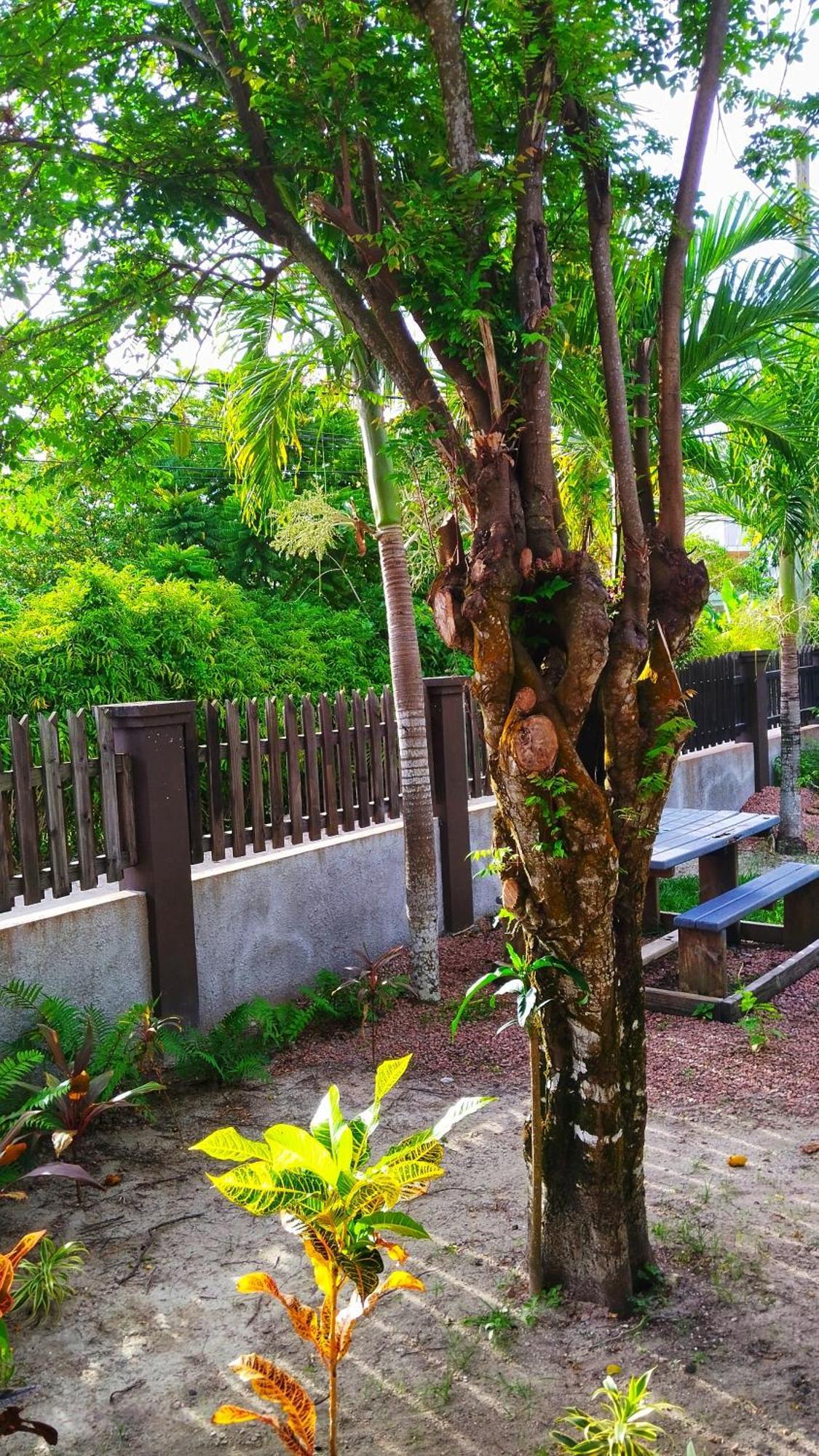 Fern Lodge Self Catering La Digue Rum bild